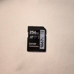 Professional 256GB SD Card - Black